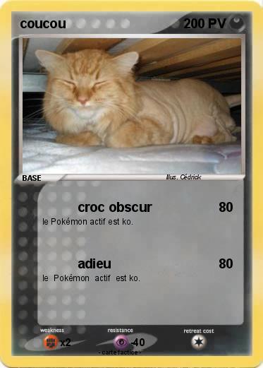 Pokemon coucou