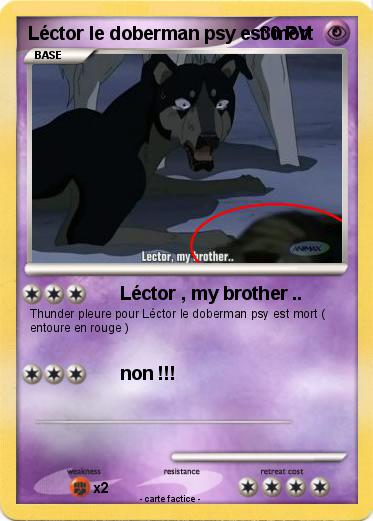 Pokemon Léctor le doberman psy est mort