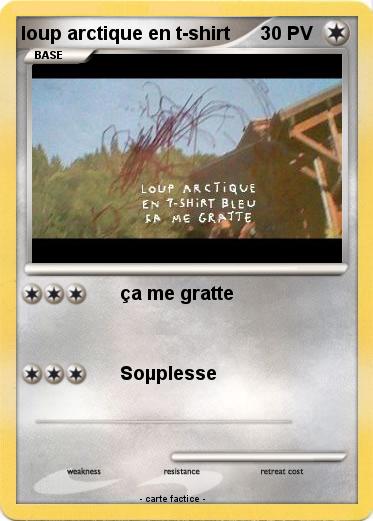 Pokemon loup arctique en t-shirt