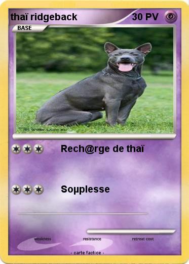 Pokemon thaï ridgeback