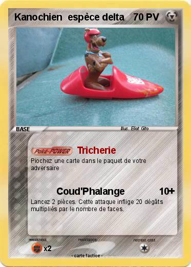 Pokemon Kanochien  espèce delta