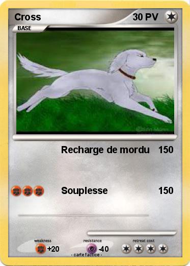 Pokemon Cross