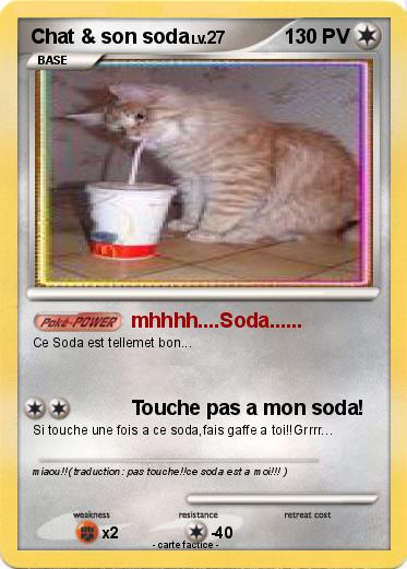 Pokemon Chat & son soda