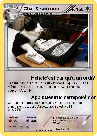 Pokemon Chat & son ordi