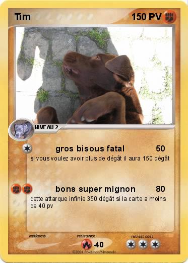 Pokemon Tim 