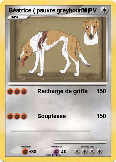 Pokemon Béatrice ( pauvre greyhound )