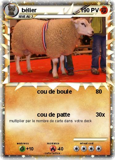 Pokemon bélier