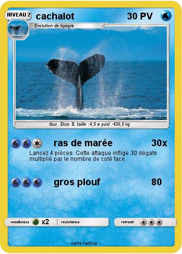 Pokemon cachalot