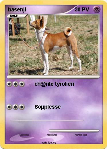 Pokemon basenji