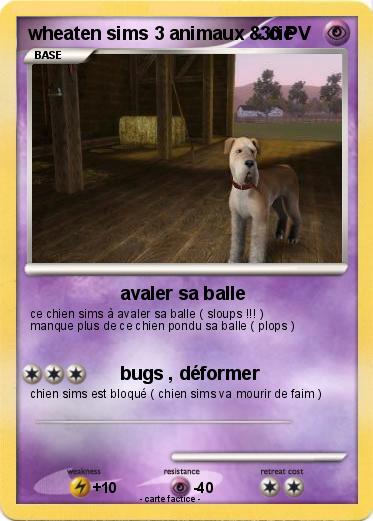 Pokemon wheaten sims 3 animaux & cie