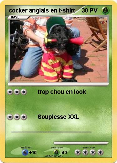 Pokemon cocker anglais en t-shirt