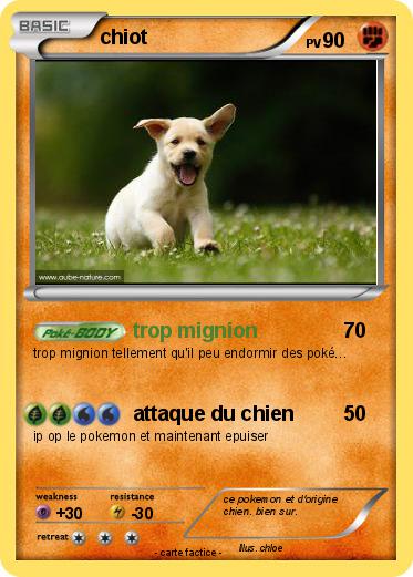 Pokemon chiot