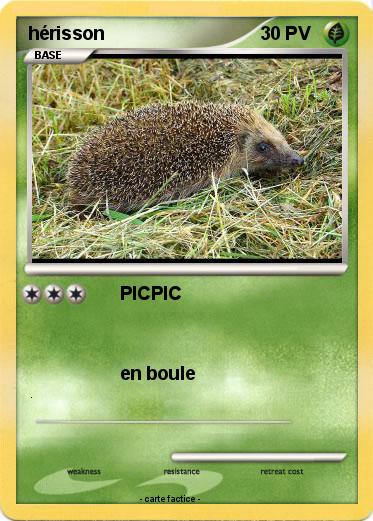 Pokemon hérisson