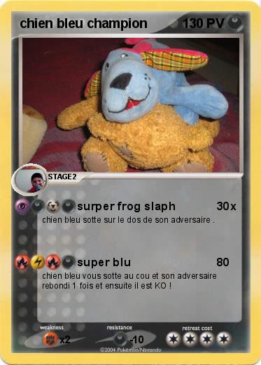 Pokemon chien bleu champion