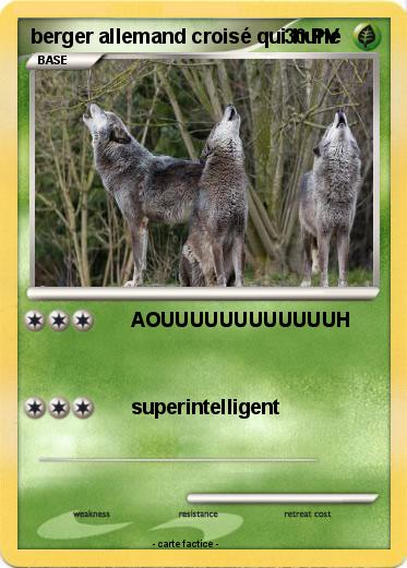 Pokemon berger allemand croisé qui hurle