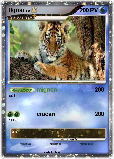 Pokemon tigrou