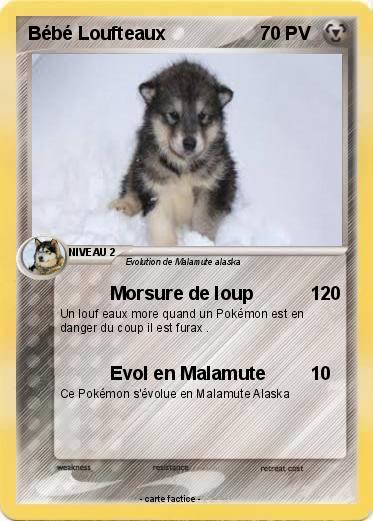 Pokemon Bébé Loufteaux
