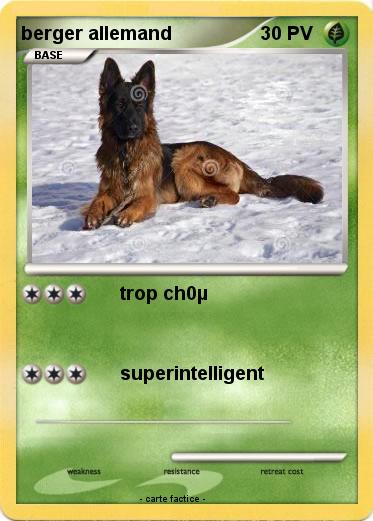 Pokemon berger allemand