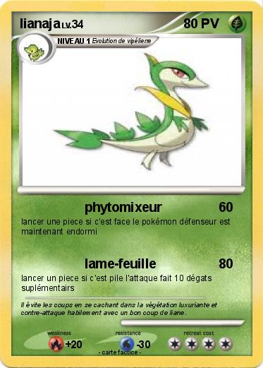 Pokemon lianaja