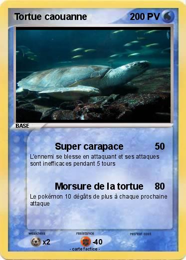 Pokemon Tortue caouanne
