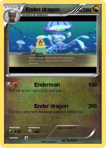Pokemon Ender dragon