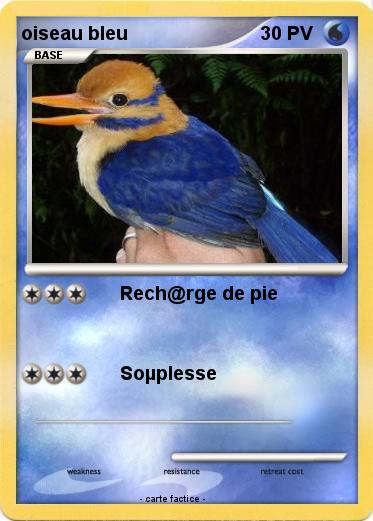 Pokemon oiseau bleu