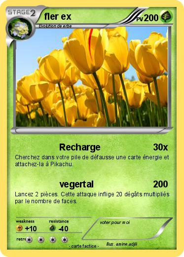 Pokemon fler ex