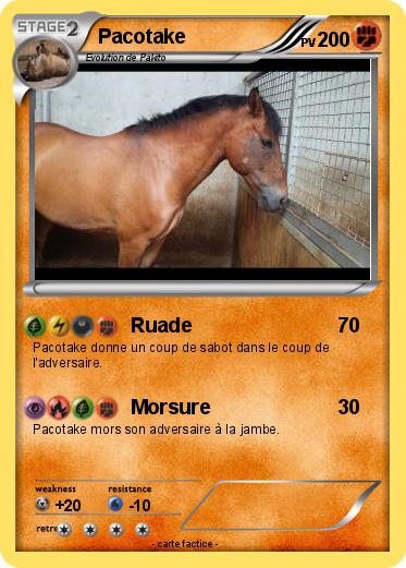 Pokemon Pacotake