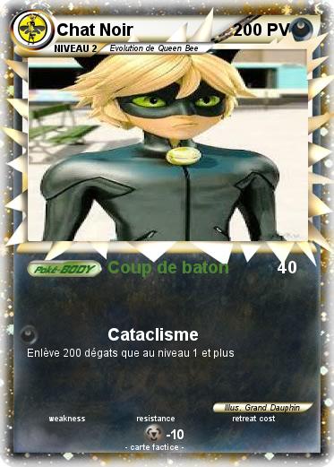 Pokemon Chat Noir