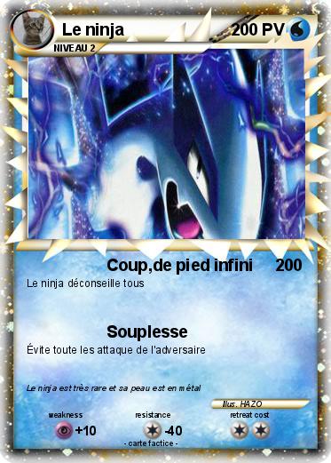 Pokemon Le ninja