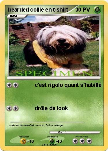 Pokemon bearded collie en t-shirt