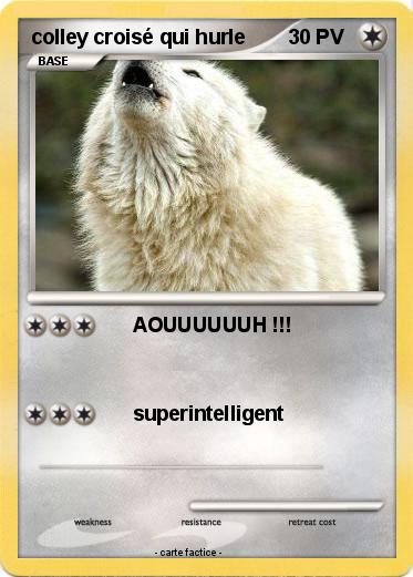 Pokemon colley croisé qui hurle