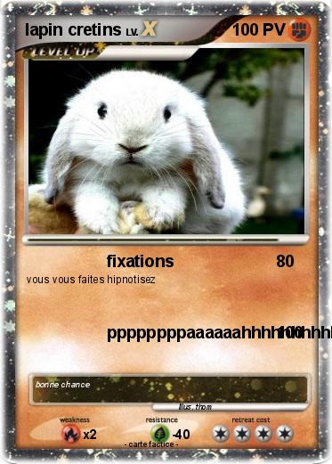 Pokemon lapin cretins