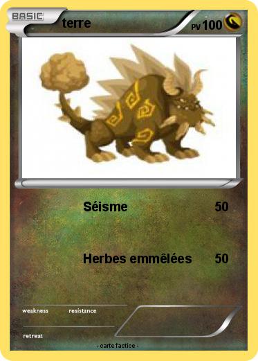 Pokemon terre
