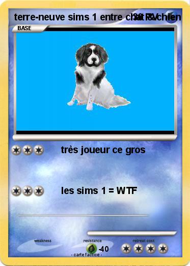Pokemon terre-neuve sims 1 entre chat & chien