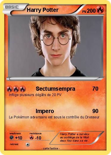 Pokemon Harry Potter
