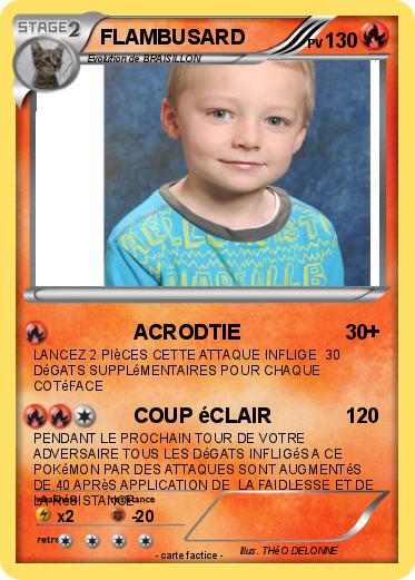 Pokemon FLAMBUSARD