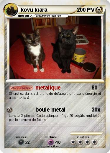 Pokemon kovu kiara