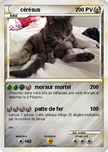 Pokemon cérésus