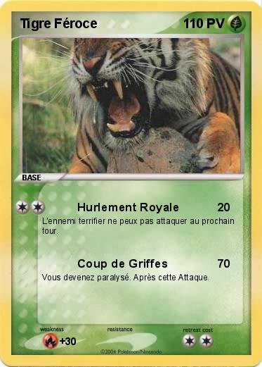 Pokemon Tigre Féroce