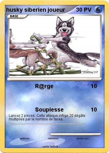 Pokemon husky siberien joueur