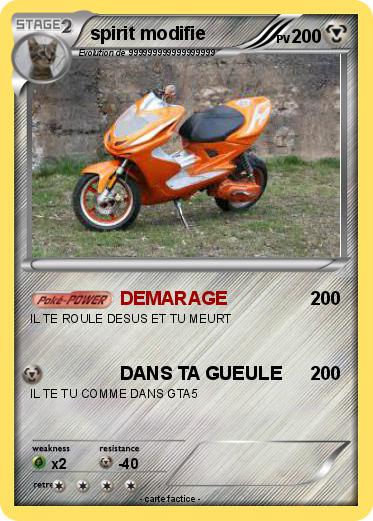 Pokemon spirit modifie