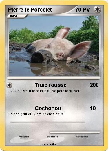 Pokemon Pierre le Porcelet