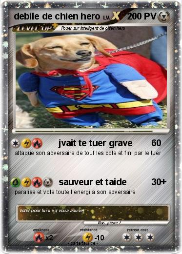 Pokemon debile de chien hero
