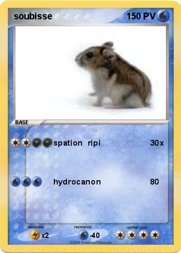 Pokemon soubisse