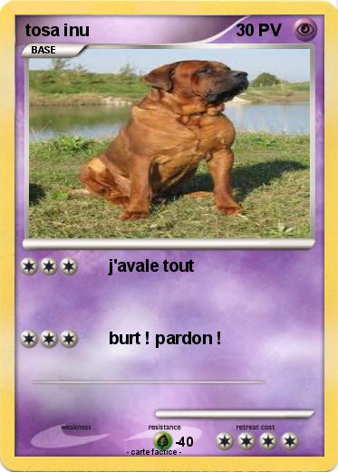 Pokemon tosa inu