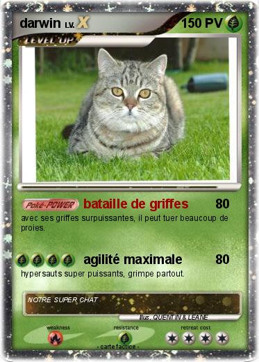 Pokemon darwin
