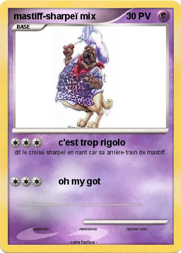 Pokemon mastiff-sharpeï mix