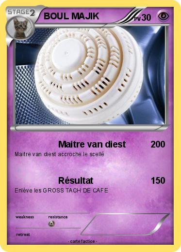 Pokemon BOUL MAJIK