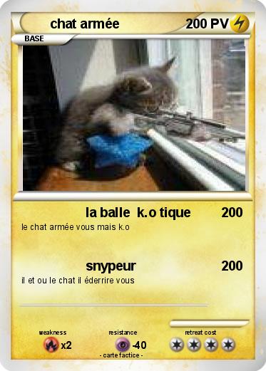 Pokemon chat armée